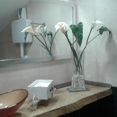 Hotel Greencolors